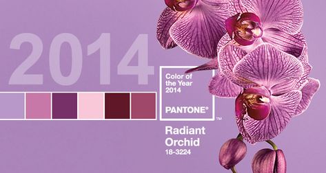 Pantone Color of The Year: “Radiant Orchid” | the Beauty Bridge Connoisseur Color Of The Year 2022, Pantone Color Of The Year, Orchid Color, Beauty Salon Design, Home Decor Hacks, Radiant Orchid, Salon Design, Burgundy Wedding, Wedding Wishes