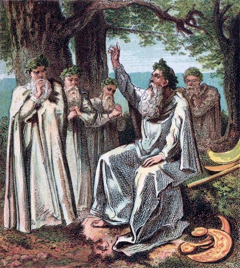 Celts History, Irish Druid, Celtic Druids, Ancient Ireland, History Quiz, Roman Britain, Ancient Celts, Celtic Culture, Celtic Mythology