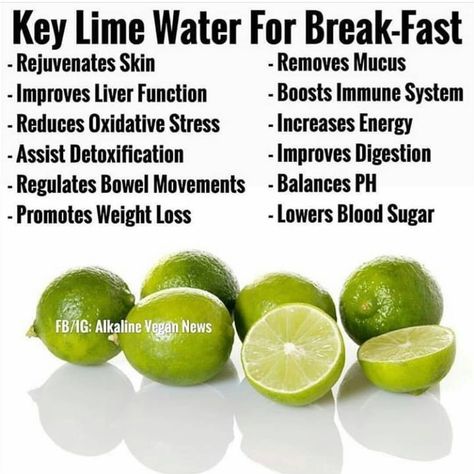 @veganclassroom on Instagram: “Key Lime Water For Breakfast ☝🌱 ~ Double Tap If You Drink Lime water!! ~ Vegan teach 🎓✒ ~ Tag Your Friends And Activate Notifications 💥💥💥 ~…” Lime Water, Best Smoothie, Alkaline Diet, Boost Immune System, Lower Blood Sugar, Natural Health Remedies, Limes, Health Facts, Key Lime