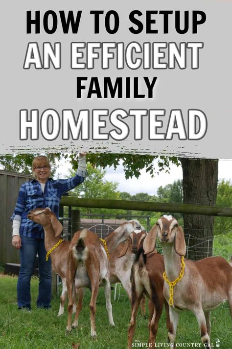 A guide that will walk you through How to Layout A Family Homestead on your property that compliments your area in an efficient way. Where to put the garden, your livestock, chickens, orchard, and more. Large Homestead Layout, Modern Homestead Aesthetic, 5 Acre Homestead Layout, Hobby Farms Layout, Horse Farm Layout, Fiber Farm, Homestead Property, Small Homestead, Homestead Layout