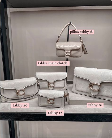 Bag-Review-Coach-Tabby-26-size-comparison-Tabby-12-Tabby-20-Tabby-Chain-Clutch Coach Tabby Bag 26 Outfit, Tabby 20 Coach, Coach Tabby Chain Clutch, Coach Tabby 20 Outfit, Coach Tabby 26 Outfit, Coach Tabby Outfit, Brandname Bag, Coach Bag Outfit, Coach Pillow Tabby