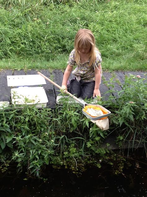 National Trust Pond Dipping Pond Dipping, Outdoors Ideas, Spring Activity, Living Garden, Outdoor Education, British Countryside, Water Play, Spring Activities, Activity Ideas