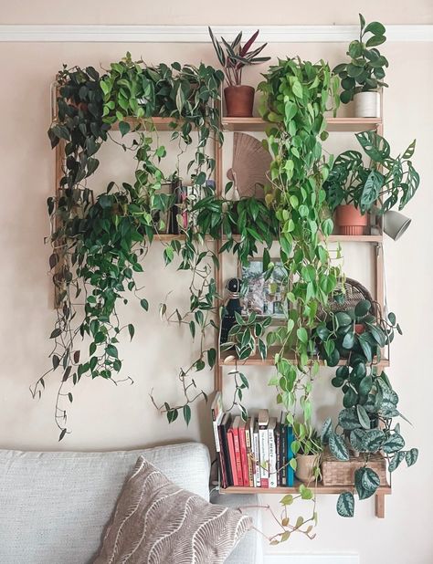 Plant wall Creative Ways To Display Plants, Ways To Display Plants, Indoor Climbing Plants, Metal Plant Hanger, Wall Hanging Decorations, Plant Display Ideas, Lush Plants, Indoor Plant Wall, Plant Care Tips