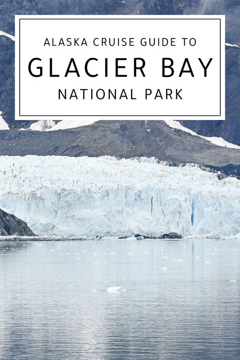 What to expect and things-to-know about cruising through Alaska's Glacier Bay National Park. Alaska Wilderness, Alaska Glaciers, Glacier Bay National Park, Harbor Seal, Temperate Rainforest, Sailing Vessel, Glacier Bay, Park Ranger, Alaska Cruise