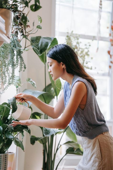 Elevate your space with green goodness this fall! Discover 10 stunning houseplants that thrive year-round, along with tips to keep them happy through the colder months. Get ready to embrace the beauty and benefits of indoor plants. #HouseplantLove #FallDecor #GreenLiving Benefits Of Indoor Plants, Fiddle Leaf Fig Tree, Gray Tank Top, Biophilic Design, Plant Wallpaper, Colorful Plants, Fiddle Leaf Fig, Holistic Living, Grey Tank Top