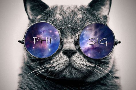 Phi Sigma Sigma cat background or cover photo Rainbow Family, Galaxy Cat, Fb Covers, To Infinity And Beyond, You Never Know, New People, Facebook Cover, Cool Cats, Great Quotes