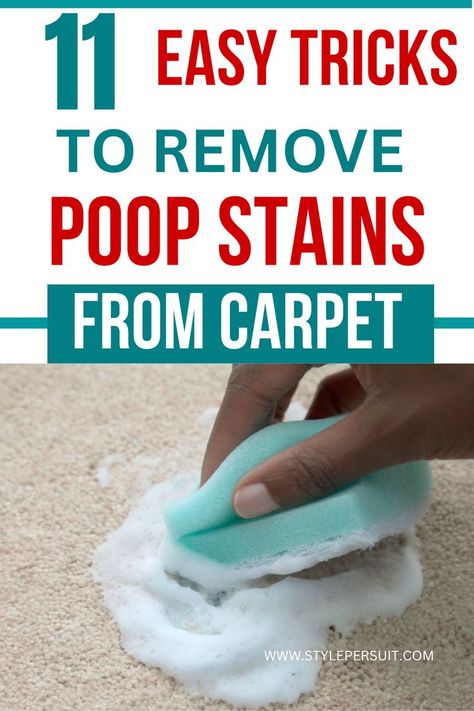 Cleaning Dog Pee, Cleaning Hacks Vinegar, Cleaning Carpet Stains, Diy Stain Remover, Smell Remover, Stain Removal Guide, Homemade Rugs, Carpet Cleaning Solution, Dog Pee