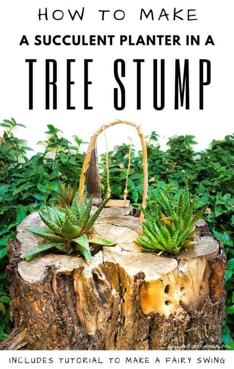 Stump Decor, Stump Planter, Tree Stump Planter, Diy Succulent Terrarium, Entry Closet, Pepper Tree, Diy Planter, Tree Stumps, Succulent Planters