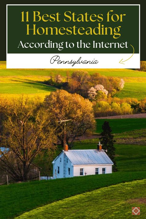 Discover why Pennsylvania is a top state for homesteading! With its warmer climate, mild winters, and steady rainfall, this state is perfect for a lush garden harvest. Pennsylvania offers abundant farmland, orchards, and dairy operations, ensuring you are always connected with fellow homesteaders. Create your self-sufficient garden paradise in Pennsylvania and enjoy a supportive community. Community Homestead, Sustainable Homestead, Cheap Land, Live Sustainably, Garden Paradise, Amish Community, Garden Harvest, Best Places To Live, Closer To Nature