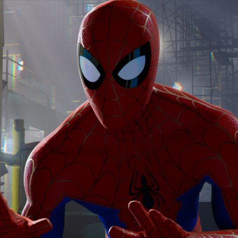 Into The Spiderverse Icons, Spiderman Into The Spiderverse, Peter B Parker, Into The Spiderverse, Parker Spiderman, Peter Parker Spiderman, Spiderman 3, Spectacular Spider Man, Best Superhero