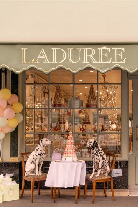 Laduree Interior, Laduree Aesthetic, Paris Laduree, Paris Desserts, Paris Party Decorations, Popular Prints, Paris Interiors, Lilly Prints, Laduree Paris