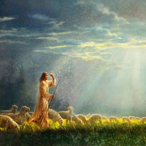 Yongsung Kim Art on Instagram: ““In Christ alone my hope is found.” Title: One Fold and One Shepherd (Quote by Keith Getty) #hope #comefollowme #yongsungkim #jesuspainting” Yongsung Kim, Flock Of Sheep, Images Of Christ, Pictures Of Christ, Lds Art, Jesus Christ Art, Christian Artwork, Pictures Of Jesus Christ, Jesus Painting