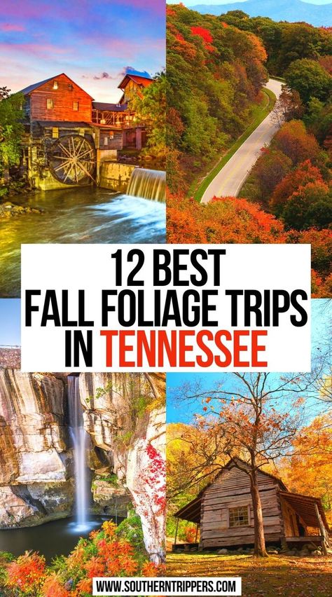 Best Fall Foliage Trips in Tennessee Fall In Tennessee, Fall Tennessee, Tennessee Fall, Things To Do In Fall, Tennessee Gatlinburg, Fall Foliage Trips, Autumn Things, Travel Autumn, Tennessee Travel