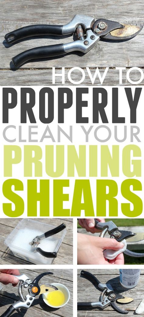 How to Clean Pruning Shears - The Creek Line House Pruning Shears Tools, How To Clean Garden Tools, Clean Garden Tools, Rusty Tools, Rusty Garden, Creek House, Pruning Tools, Garden Shears, Astuces Diy