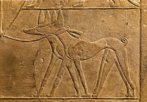 Let's celebrate the great bond between the ancient Egyptians and their  OTHER… Egyptian Relief, Egypt Ancient, Egypt Museum, Ancient Egyptian Artifacts, Cool Facts, Egypt Cairo, Egyptian Artifacts, Egyptian Hieroglyphics, Ancient Egyptian Art