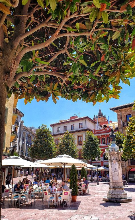 Oviedo, Spain (by Randy Durrum) Free Climb, Oviedo Spain, European Bucket List, Spain Aesthetic, Asturias Spain, Bull Shark, Outdoor Restaurant, Booking Hotel, European Summer