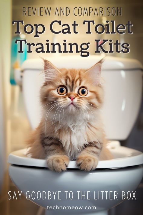 Say goodbye to the litter box forever! 🚽🐾 Explore the top cat toilet training kits and watch your fur-baby transition to a world of pristine potty perfection. No more scooping, no more mess – just a clean, convenient, and eco-friendly solution for your kitty. 🌟 #CatToiletTraining #PawsitivelyPurrfect #NoMoreLitterBox Cat Potty Training, Cat Litter Box Ideas, Litter Box Ideas, Training A Kitten, Dog Enclosure, Cat Toilet Training, Cats Outside, Cat Litter Box Enclosure, Smelly Cat