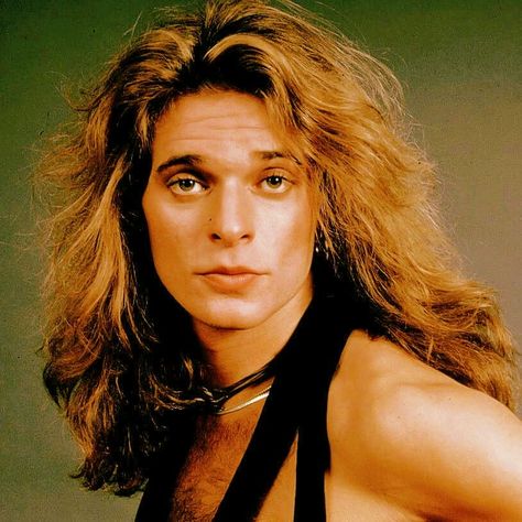 80s Rock Hair, Atomic Punk, Rockabilly Art, Rock Hairstyles, David Lee Roth, Surfer Dude, David Lee, Eddie Van Halen, Full Of Love