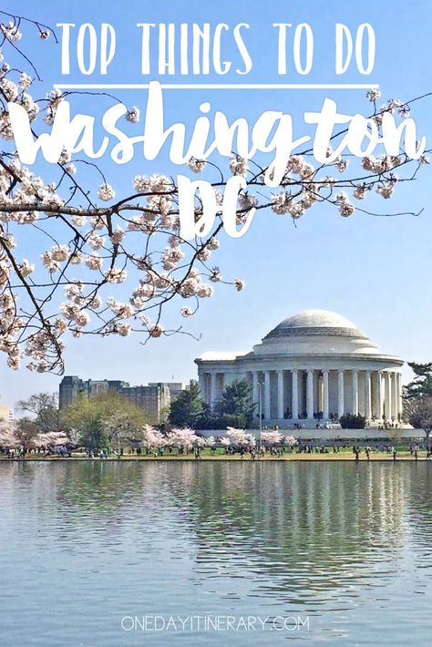 Washington D.C. - Top things to do and Best Sight to Visit on a Short Stay Washington Dc Itinerary, Washington Dc Travel Guide, Sight Seeing, Washington Dc Travel, Dc Travel, Travel Recommendations, Travel Blogging, American Travel, Travel Pins