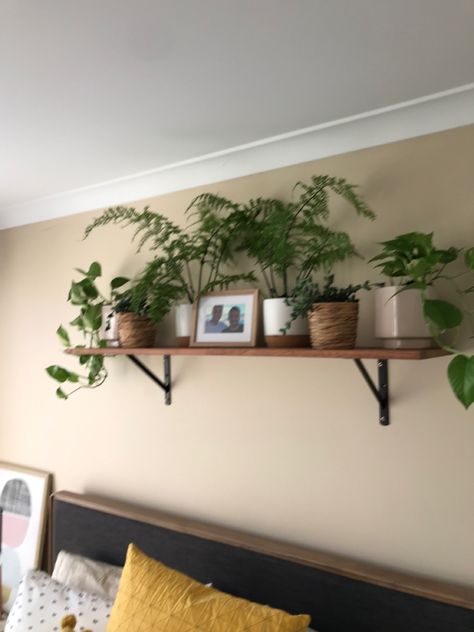 Plants Floating Shelf, Long Bedroom Shelf, Wooden Shelf Ideas Bedroom, Plant Shelf Behind Bed, Plant Shelf Above Tv, Wooden Shelf Above Bed, Behind Bed Decor Ideas, Behind Bed Shelf, Greenery Above Bed