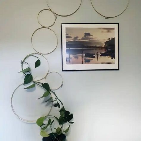 Diy Wall Trellis Indoor, Wall Wire Art, Macrame Plant Trellis, Trailing Pothos Wall, Diy Hoop Trellis, Diy Indoor Trellis Ideas, Diy Pothos Trellis, Diy Circle Trellis, Pothos Trellis