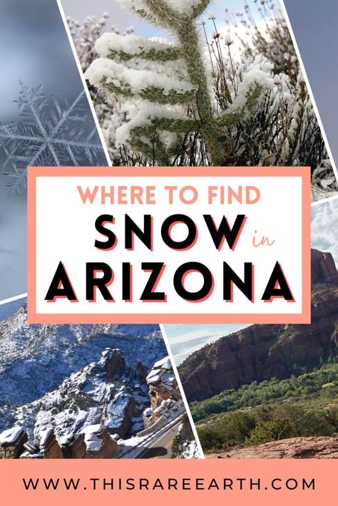 Where to See Snow in Arizona - This Rare Earth Snow In Arizona, Sunrise Park, Arizona Road Trip, Northern Arizona, Snow Mountain, Road Trip Destinations, Sonoran Desert, White Mountains, Arizona Travel