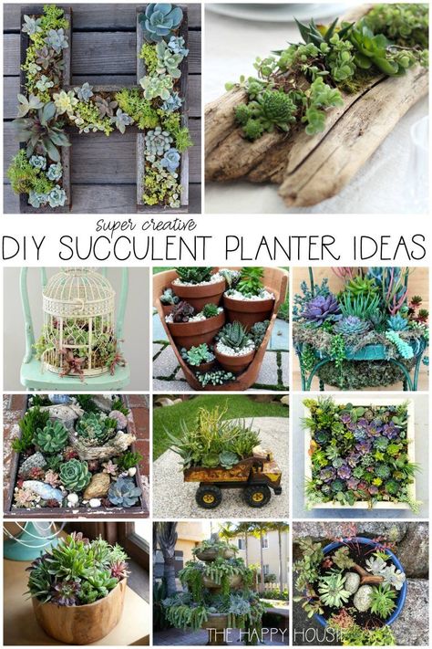 Succulent Planter Ideas, Diy Succulent Planter, Kaktus Dan Sukulen, Succulent Planter Diy, Succulent Garden Design, Woodwork Projects, Green Ideas, Succulent Garden Diy, Succulents Decor