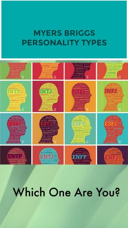 Get to know your Myers Briggs personality. Does it describe you? #MBTI #personality #ENTJ Myers Briggs Personality Types Quiz, What Is My Mbti Type Quiz, Mbti Personality Quiz, Mbti Quiz, Entj And Enfp, Personality Type Quiz, Mbti Test, Meyers Briggs, 16 Personalities