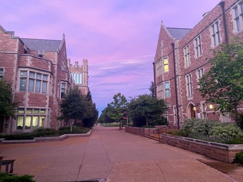 emerging from frat row at washington university in St. Louis Wash U St Louis, Washington University In St Louis Aesthetic, Washu St Louis Aesthetic, Washu St Louis, St Louis Aesthetic, Frat Aesthetic, Louis Aesthetic, Dr Visuals, College Vibes