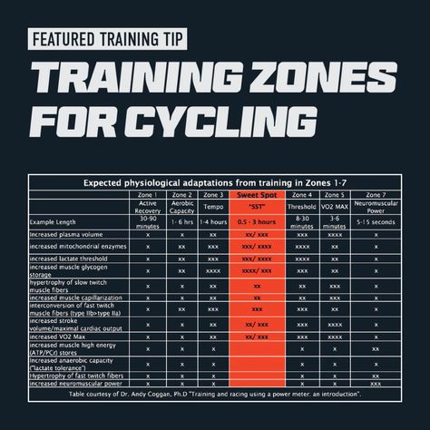 Cycling Training Plan, Cycle Training, Interval Workout, Bike Training, Endurance Training, Skeletal Muscle, Aerobics Workout, Zone 2, Gym Routine