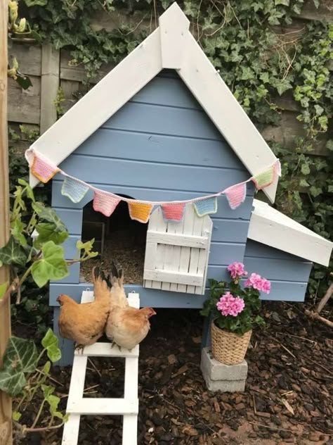 Silkie Chickens Coop, Pretty Chicken Coop, Cute Chicken Coops, Duck Coop, Blue Chicken, Backyard Chicken Coop Plans, Chicken Coup, Chicken Life, Backyard Chicken Farming