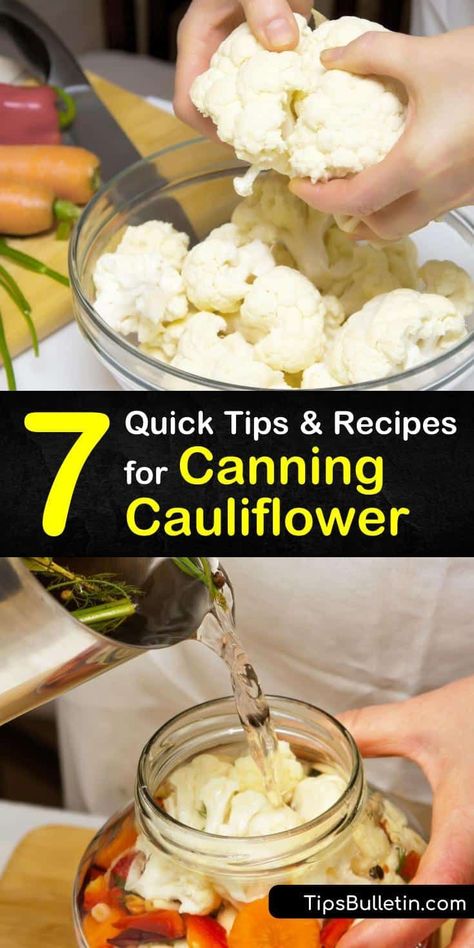 Canned Cauliflower, Canned Cauliflower Recipes, Canning Cauliflower Recipes, Canning Cauliflower, Preserving Cauliflower, How To Make Pickled Cauliflower, How To Preserve Cauliflower, Pickled Cauliflower Recipe, Pickling Cauliflower Recipe