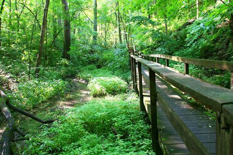 Discover an abandoned village hike in Indiana that will take you pat 10 ceremonial Native American mounds. Check out what makes this place great. Only In Your State, Abandoned Village, Indiana Travel, Long Trail, Nature Center, Local Travel, Nature Trail, Picnic Area, Abandoned Places