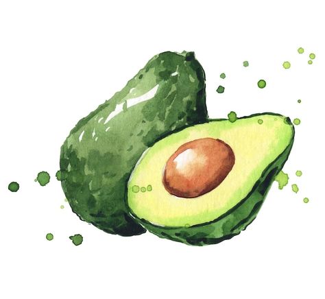 Avocado Watercolor, Abstract Watercolor Tutorial, Green Fruits And Vegetables, Avocado Painting, Vegetable Drawing, Fruit Art Drawings, Veggie Art, Avocado Art, Vegetable Painting