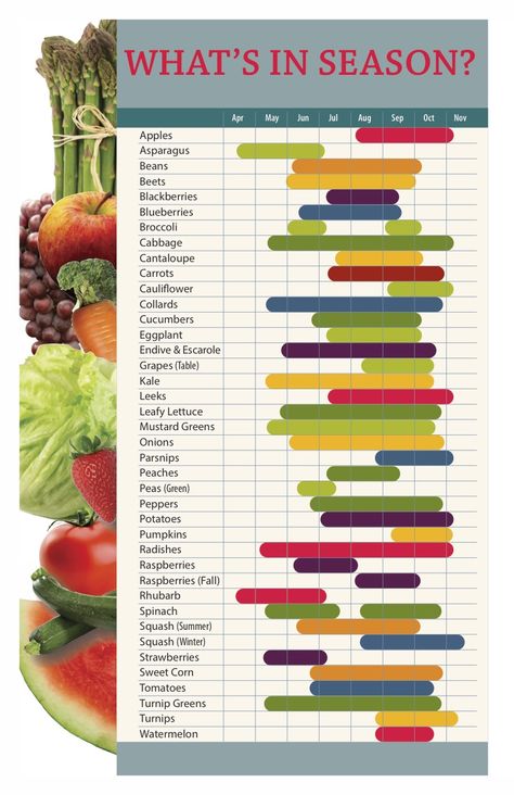 What’s In Season? Seasonal Vegetable Chart, Farm Orchard, Vegetable Chart, Fruit Or Vegetable, Asparagus Beans, Whats In Season, Vegetable Farming, Turnip Greens, Thursday Evening