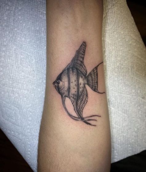 Angle Fish Tattoos, Salt Water Fish Tattoo, Angel Fish Tattoo, Angelfish Tattoo, French Angelfish, Fish Tattoo Ideas, Angle Fish, Fish Tattoo Design, Criss Angel