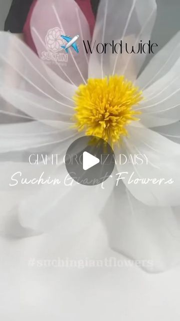 Hoa Giấy Suchin | Suchin Giant Flowers on Instagram: "Giant Flowers | Tutorial How to make giant orgamza daisy flowers. We can deliver the flowers to any place in the world. Text us to get more information #hoagiaysuchin #giantflowers #tutorial" Diy Giant Organza Flowers, Giant Daisy, Giant Flowers Diy, Enchanted Night, Flowers Tutorial, Organza Flowers, Giant Flowers, Daisy Flowers, Daisy Pattern