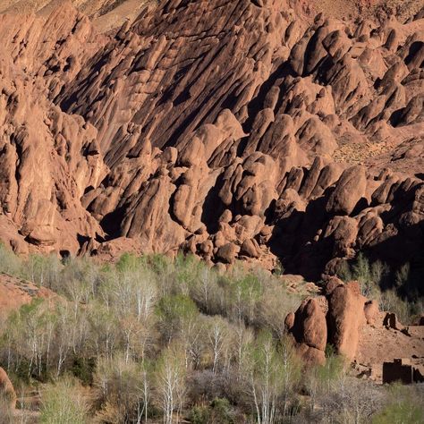 Monkey’s Fingers are extraordinary red rock formations located in the Dadès Gorges. . . . . . . Your Trusted Travel Partner in the Heart of Morocco. . + For inquiries and reservations, contact us at: 📧 Moroccoservicetours@gmail.com ☎️ +212 661-503108 🌐 Visit our website for more details: www.moroccoservicetours.com #SaharaAdventure #DesertDreams #Wanderlust #Moroccan4x4Adventure #DesertMoroccotours #DunesExploration #OffRoadEscape #MoroccoTravel #4x4Deserttours #DesertWonders #MoroccanExcu... Mulagljufur Canyon, Rif Mountains Morocco, Merzouga Morocco, Dades Gorge Morocco, Travel Partner, Morocco Tours, Atlas Mountains Morocco, Morocco Travel, Rock Formations