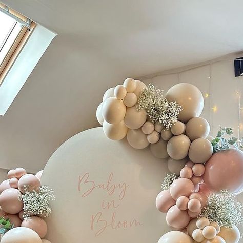 Luna Moon | Balloon Artistry & Party Hire, Derby on Instagram: "B a b y  i n  B l o o m ✨ @buttermilkcoffeehouse @thehayloftatbuttermilk   Back at buttermilk for @jessicalouise.home baby shower 🫶🏼  Single sailboard, 5 metres of soft neutral balloons with fresh gypsophila & eucalyptus. The smell of the fresh eucalyptus👌🏼  Another new theme for me again ✨ thank you so much for trusting me to bring your vision to life, Jessica.  #balloons #babyshower #babyshowerballoons #babyshowerideas #babyshowerinspo #babygirl #balloonideas #eventstylist #eventdesign #babyinbloom #babyshowertheme #balloonart #customballoons #balloonsbouquet #eucalyptus #freshflorals #balloongarland #balloonparty" Balloon Arch With Baby Breath, Baby In Bloom Balloon Garland, Pink White Beige Balloon Garland, Oh Baby Pink Balloons, Light Pink Baby Shower Balloons, Neutral Balloons, Moon Balloon, Fresh Eucalyptus, Luna Moon