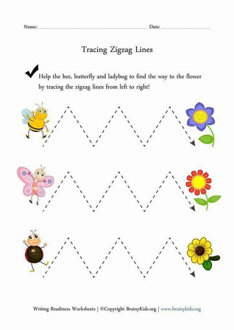 Zigzag Tracing Worksheet, Zigzag Lines Worksheet, Emergent Writing, Flower Activities, Lines Worksheet, Line Tracing Worksheets, Zig Zag Lines, Spring Worksheet, Tracing Lines