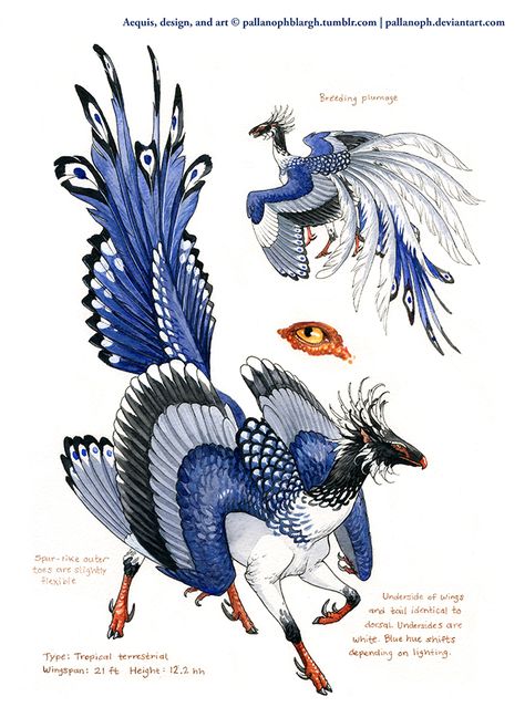 Aequis: Tropical Terrestrial type debut by pallanoph on DeviantArt Mythical Birds, Winsor And Newton, Mythical Animal, Fantasy Beasts, Creature Drawings, Fantasy Creatures Art, Mythical Creatures Art, Mythological Creatures, Monster Design