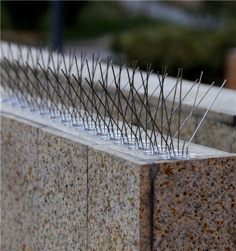 5 Rows Bird Control Product Plastic Anti Pigeon Spikes Everything Diy, Driveway Fence, Gate Wall Design, Bird Control, Garden Rock Border, Stone Fence, Cat Fence, House Fence Design, Garden Netting