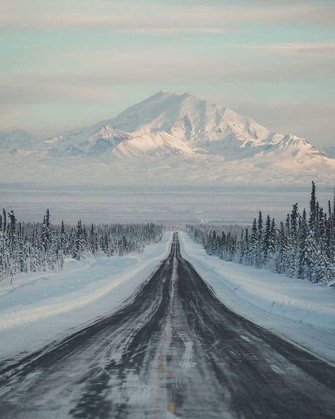 Places In The World, Beautiful Places In The World, Most Beautiful Places, Alaska, Beautiful Places, Good Morning, Most Beautiful, Trees, Road