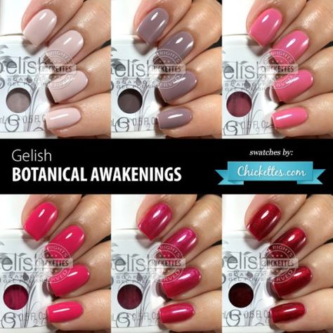 Gelish Botanical Awakenings (Spring 2016) Collection Swatches Gelish Swatches, Gelish Nail Colours, Nail Repair, Opi Nail Colors, Gelish Nails, Gel Nail Colors, Gel Polish Colors, Soak Off Gel, Nail Studio