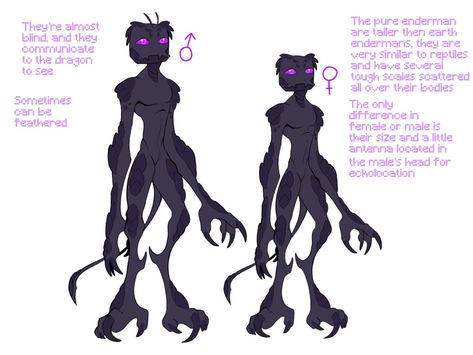 Enderman Oc Base, Minecraft Nether Oc, Minecraft Lore, Enderman Hybrid Oc, Neytirix Art Minecraft, Minecraft Oc, Minecraft Ender Dragon Art, Minecraft Fan Art Enderman, Minecraft Challenges