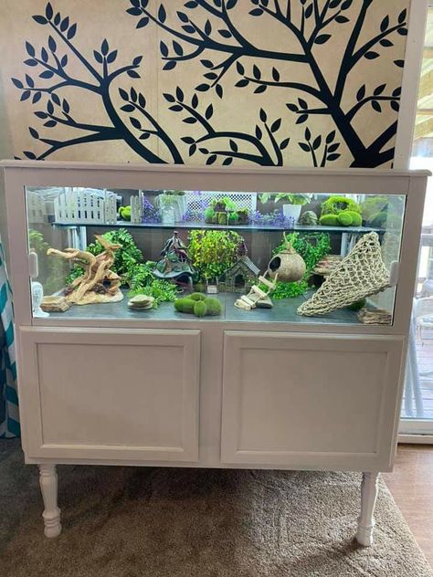 Reptile Tank Stand Ideas, Diy Bearded Dragon Enclosure, Lizard Cage, Bearded Dragon Terrarium Ideas, Custom Fish Tanks, Terrarium Stand, Snake Terrarium, Bearded Dragon Terrarium, Bearded Dragon Enclosure