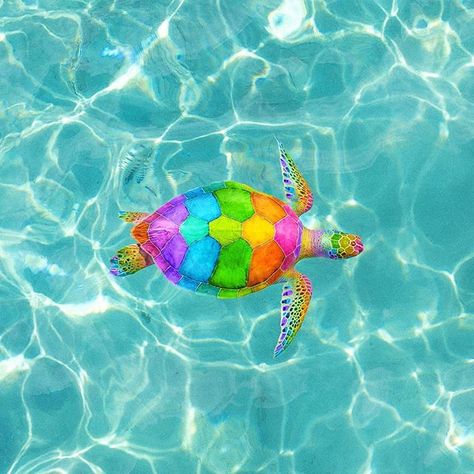 Turtley radical 🖖🏼🐢🌈 #spectrumedit of the incredible @sorelleamore Rainbow Animals, Baby Animals Pictures, Super Cute Animals, Colorful Animals, Rainbow Art, Eyes Makeup, Cute Animal Pictures, Cute Animal Drawings