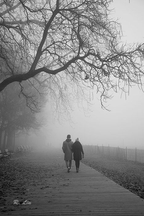 Mountain Pics, Landscape Black And White, Fog Photography, Magical Photography, Talking Picture, Foggy Day, Mountain Pictures, Group Home, Beach Rocks