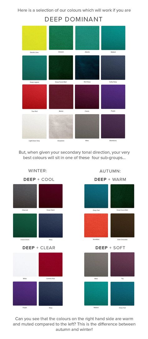 Tonal directions: Deep True Winter Color Palette, Wardrobe Color Guide, Deep Winter Palette, Deep Autumn Color Palette, Soft Summer Palette, Deep Winter Colors, Clear Winter, Cool Color Palette, Winter Color Palette