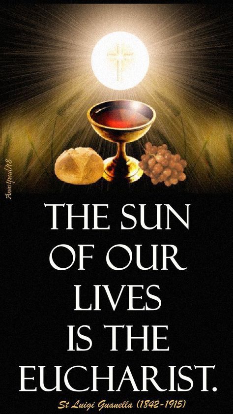 Eucharist Quotes, Forever And Ever Amen, Holy Eucharist, Catholic Altar, Eucharistic Adoration, Blessed Sacrament, The Eucharist, Catholic Pictures, Quotes On Love